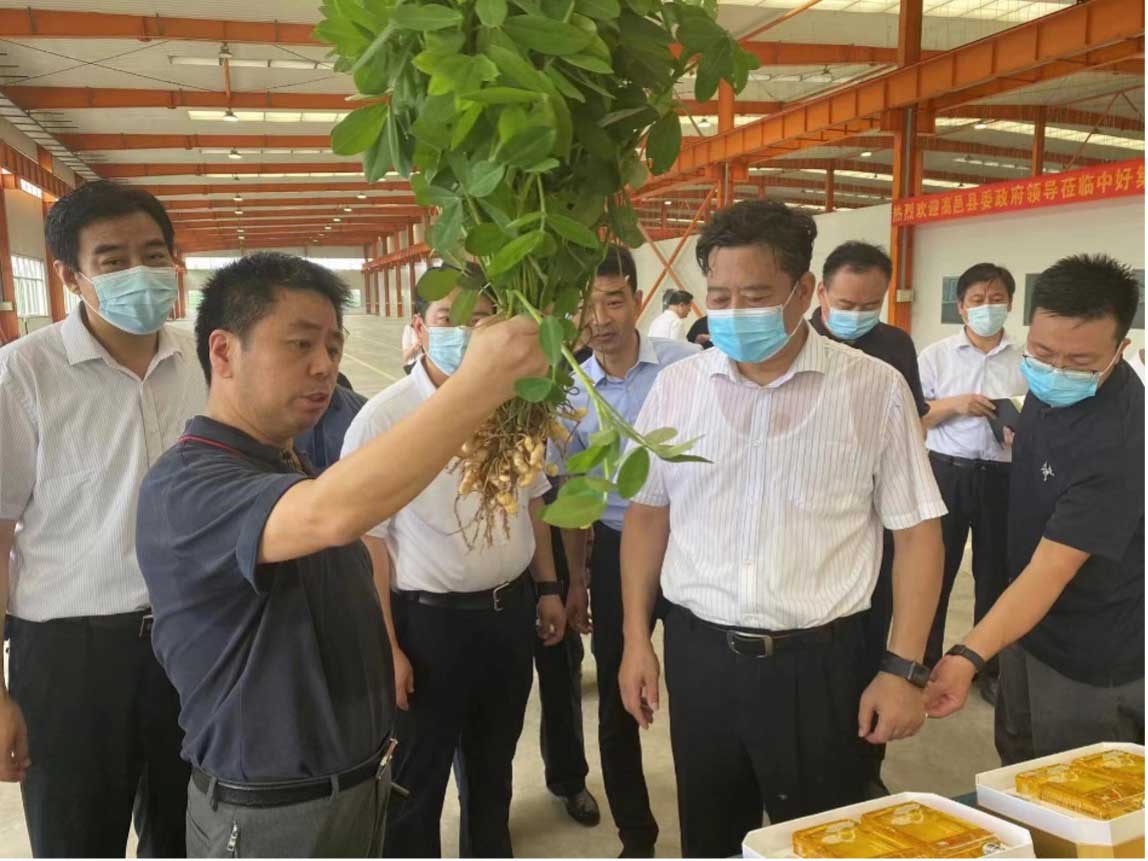 高邑縣委政府領導蒞臨中好智慧農(nóng)業(yè)調研指導